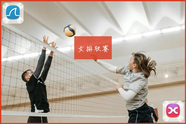 女排联赛