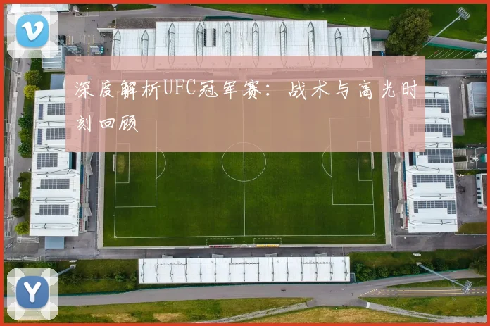 深度解析UFC冠军赛：战术与高光时刻回顾