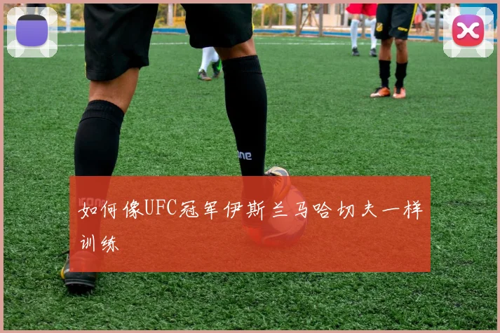 如何像UFC冠军伊斯兰马哈切夫一样训练