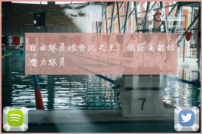 自由球员性价比之王:低薪高能的潜力球员