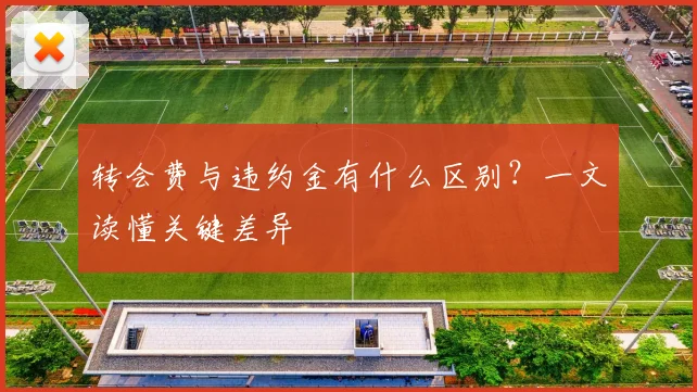 转会费与违约金有什么区别？一文读懂关键差异