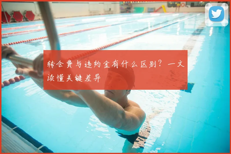 转会费与违约金有什么区别？一文读懂关键差异