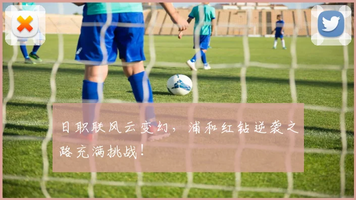 日职联风云变幻，浦和红钻逆袭之路充满挑战！