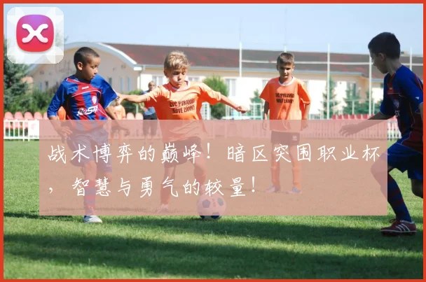 战术博弈的巅峰!暗区突围职业杯,智慧与勇气的较量!