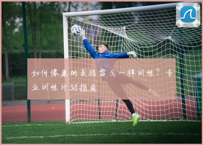 如何像康纳麦格雷戈一样训练?专业训练计划指南